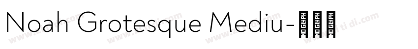 Noah Grotesque Mediu字体转换 Noah Grotesque Mediu字体转换